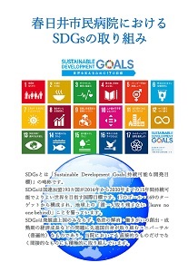 SDGs