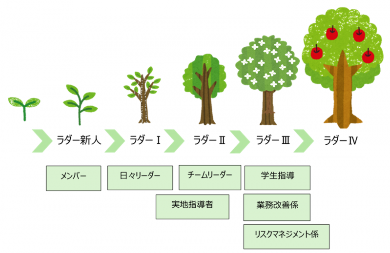 ラダー制度
