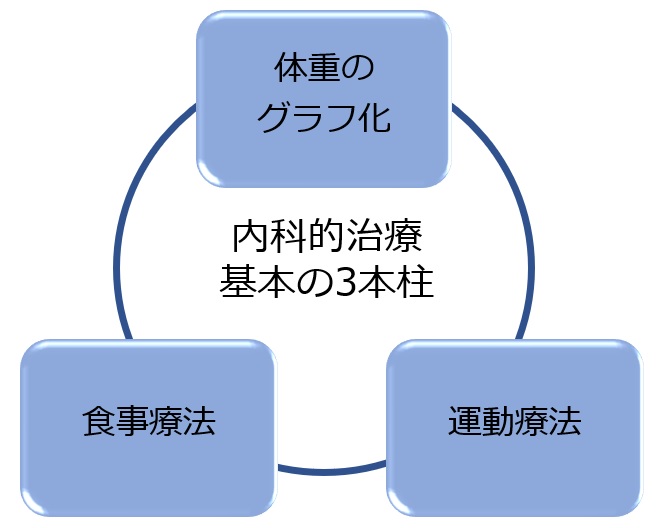 内科的治療基本の3本柱の模式図