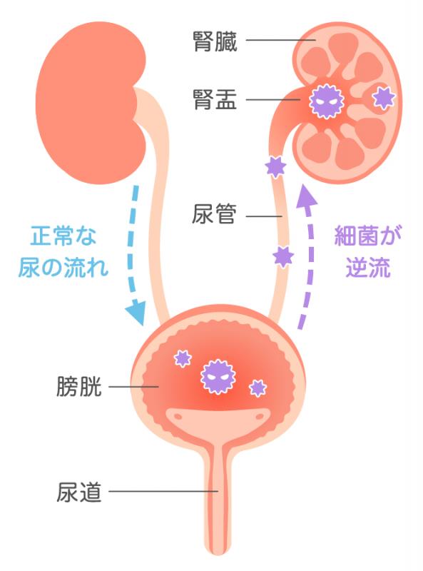 jinen