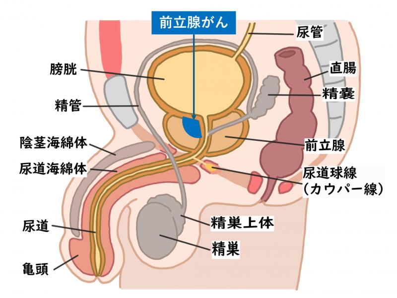 zenritusengan