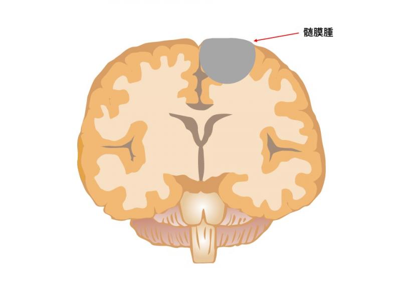 zuimakusyu