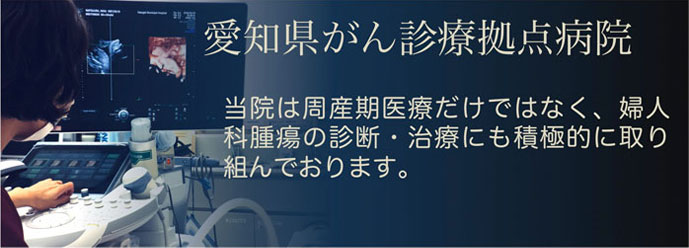 愛知県がん診療拠点病院。当院は周産期医療だけではなく、婦人科腫瘍の診断・治療にも積極的に取り組んでおります。